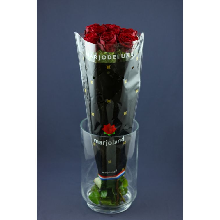Roses Red Naomi Delux 70cm