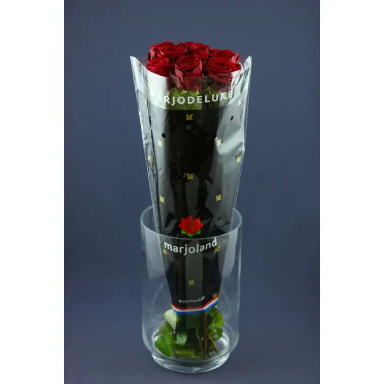 Roses Red Naomi Delux 70cm