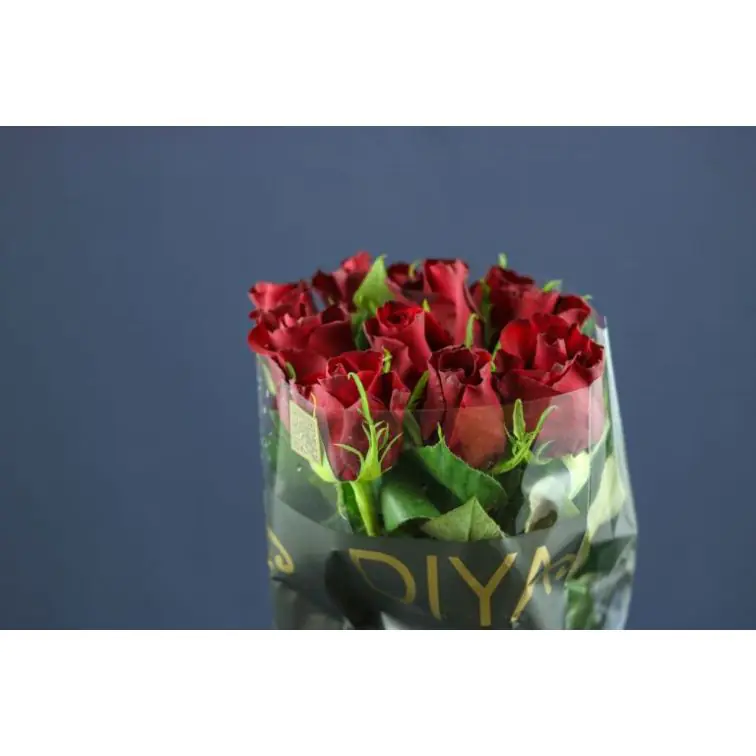Roses Ever Red 50cm