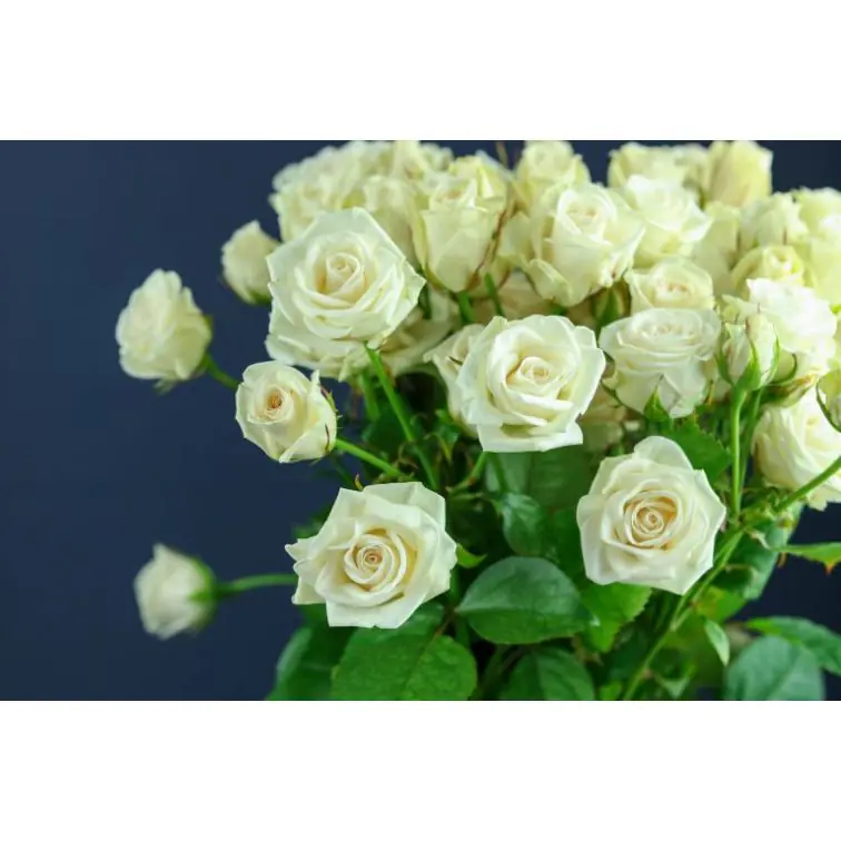 Roses Spray Royal Porcelina