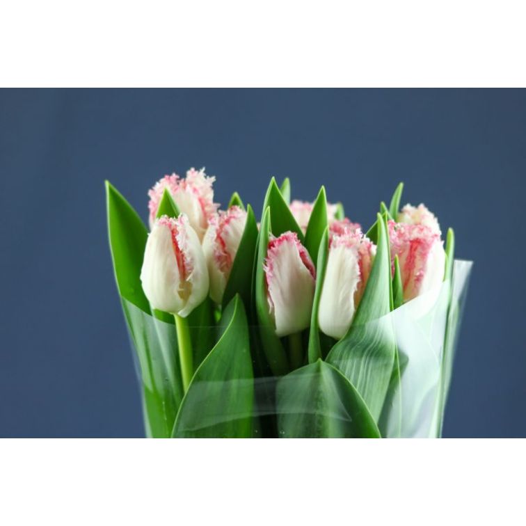 Tulip Neglige