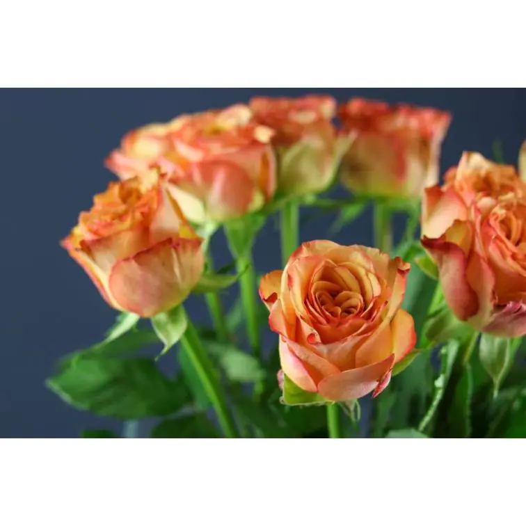 Roses Cafe Mocca