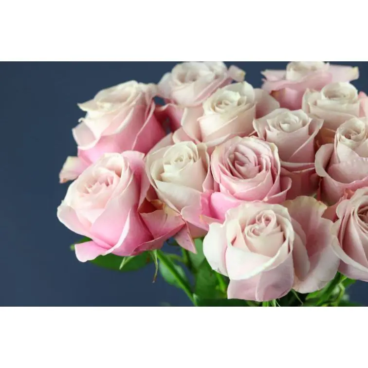 Roses Secret Garden