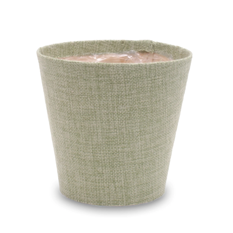 Decorative packaging for plant C&C , M20093