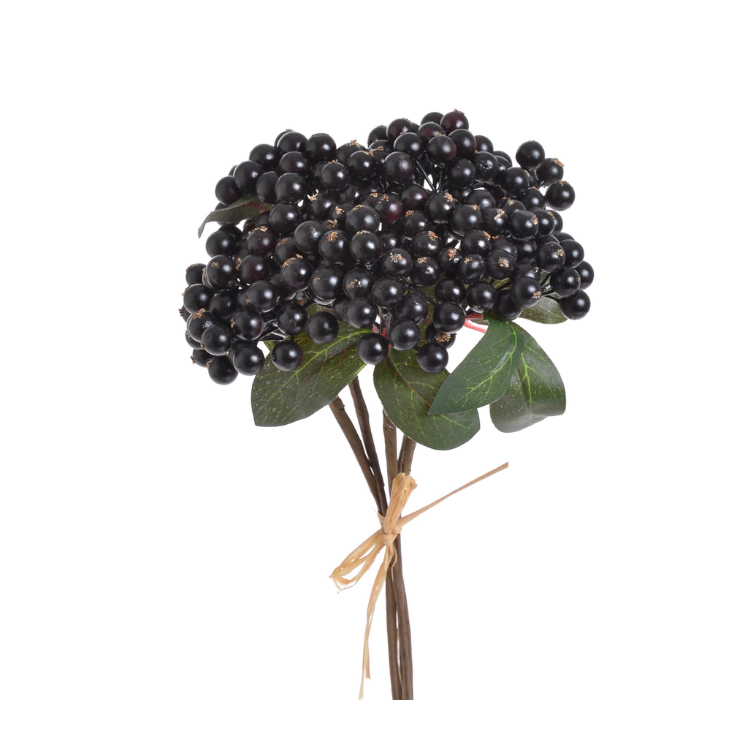 Decorative berries , 81CAN1-3379_06