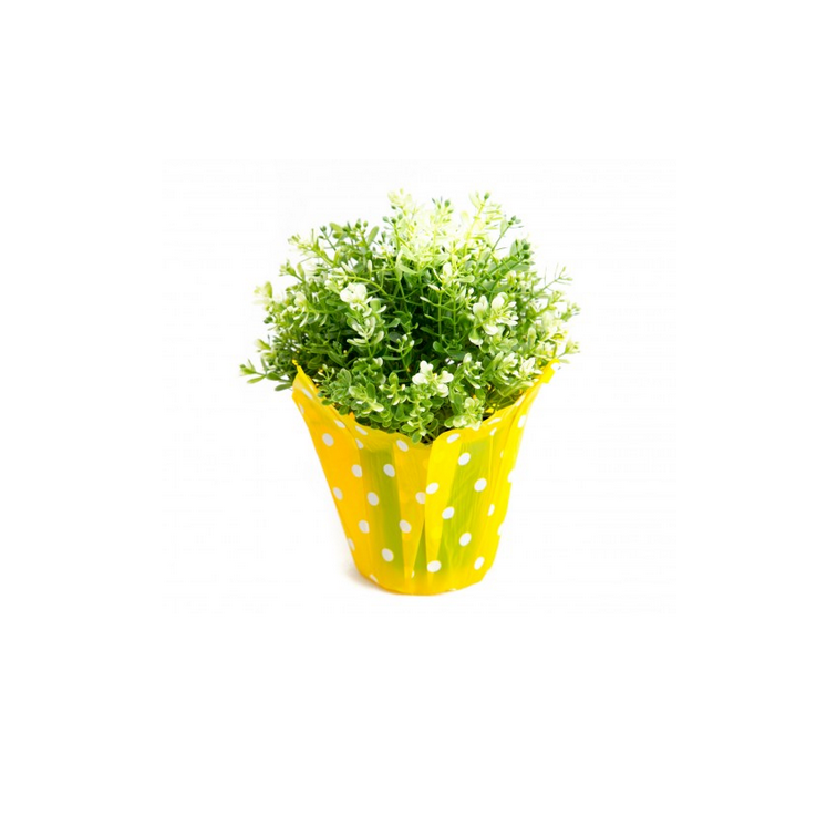 Dekoratīvs iepakojums augiem , PlasticY main product photo