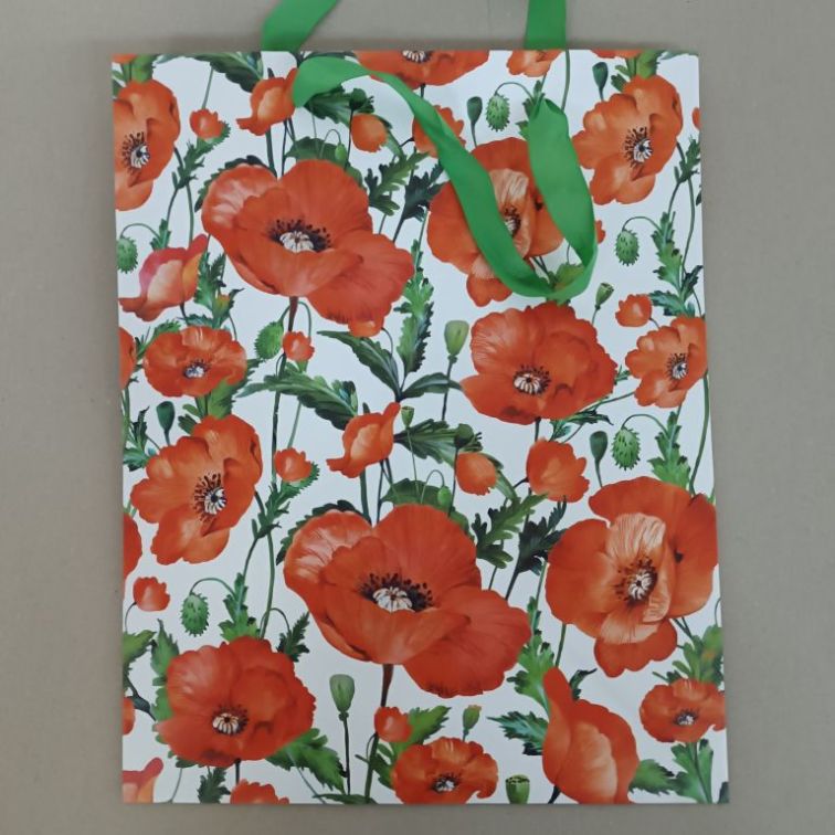 Подарочный пакет , AGB1017105 main product photo