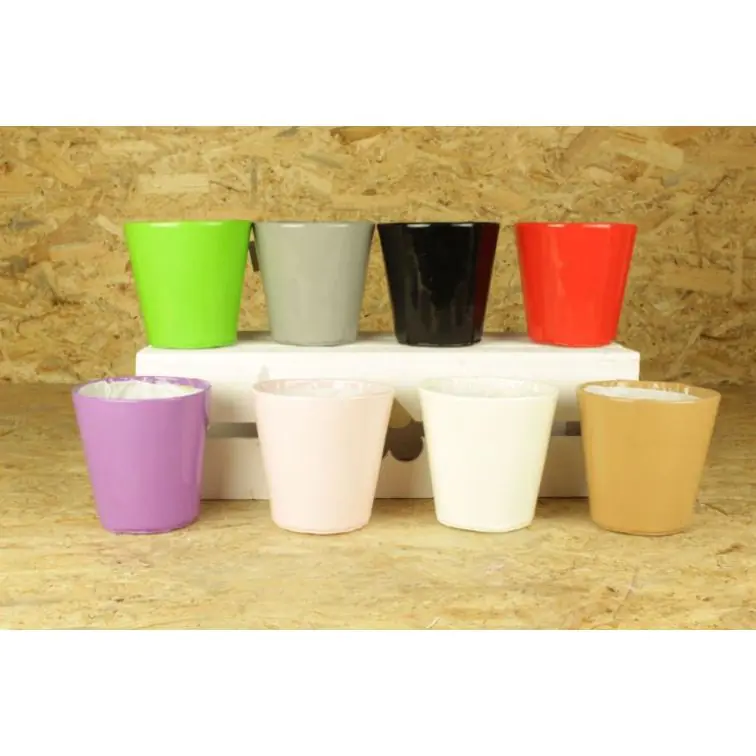 Decorative packaging for houseplant , WY14-62