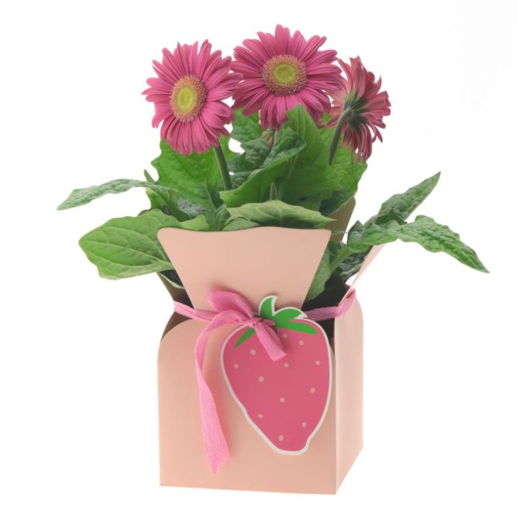 Gift box, H20640