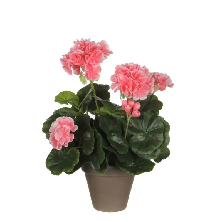 Mākslīgs zieds Geranium, 950217