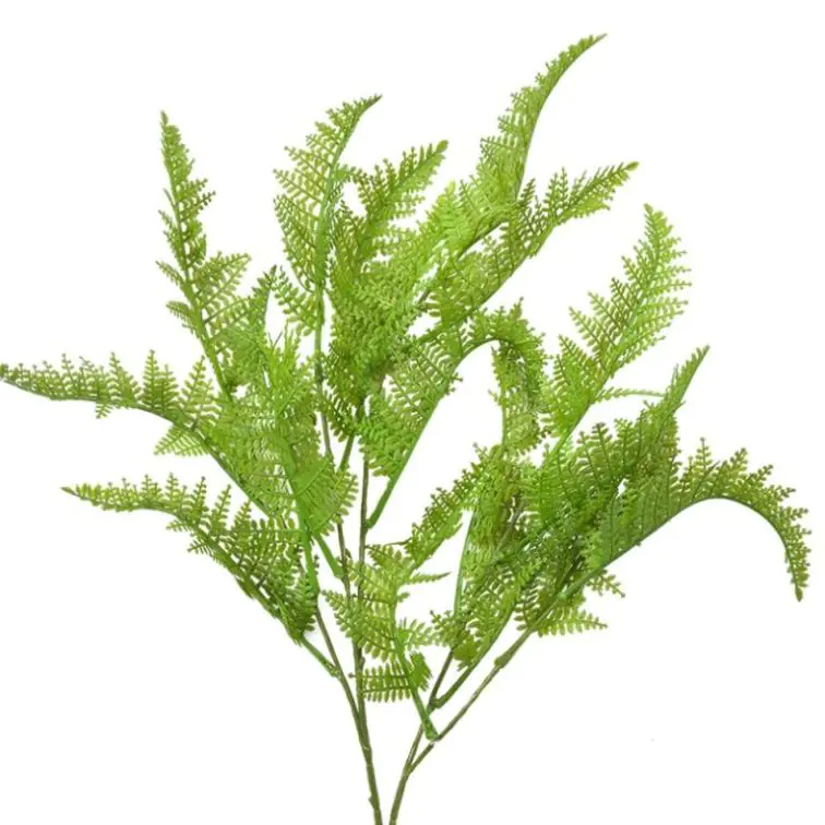 Mākslīgie zaļumi, 5PL0081