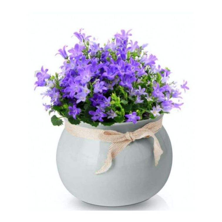 Decorative flower pot, 258717GREY