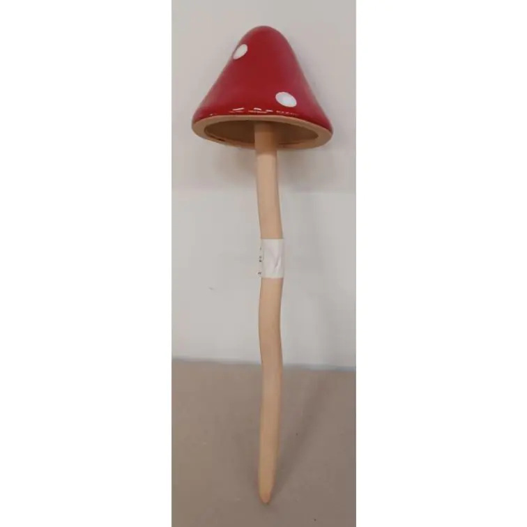 Mushroom, 297CAN31-014