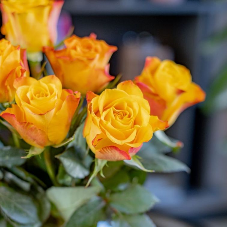 Roses Marie Claire (9PCS|40CM)