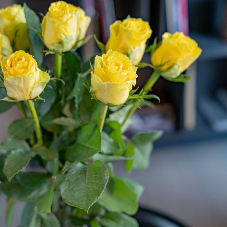 Roses Good times (9PCS|60CM)
