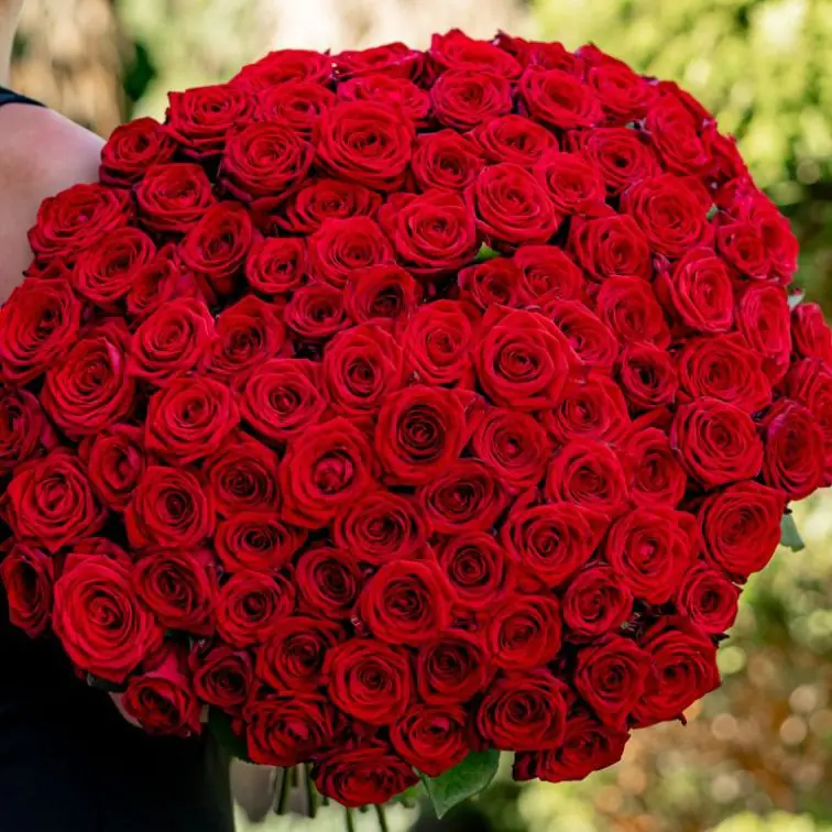 Rose bouquet Red Naomi (101PCS)