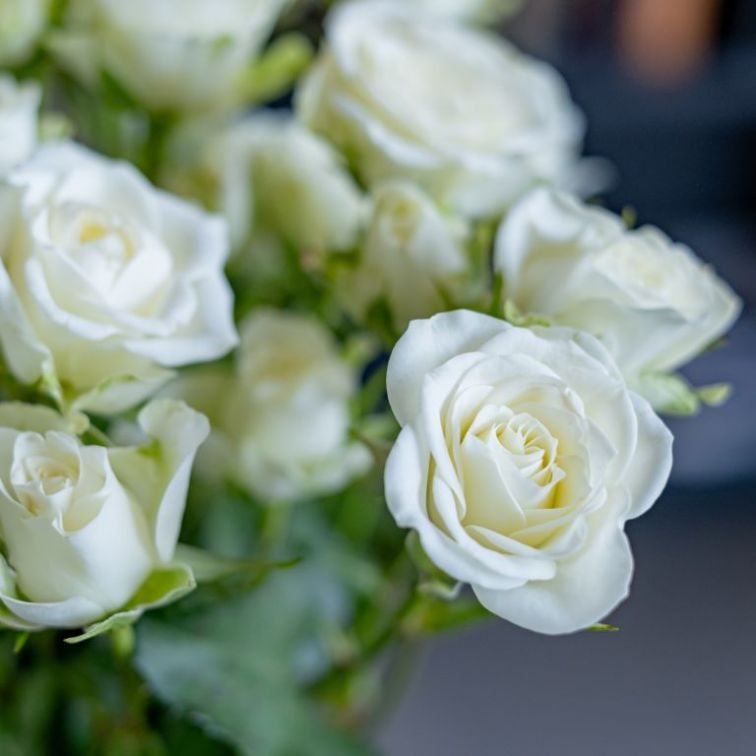 Spray roses Snowflake (9PCS|40CM)