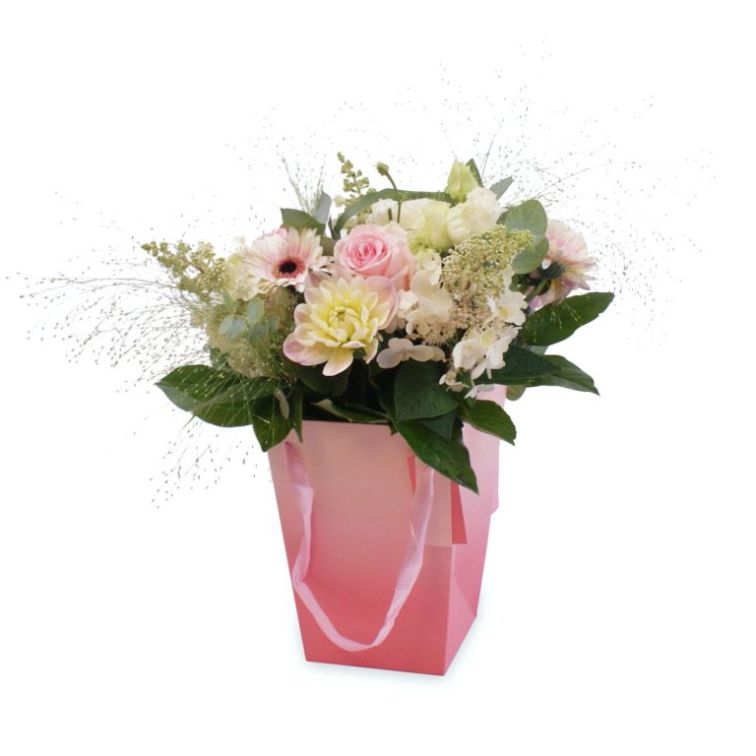 Gift bag, H10122