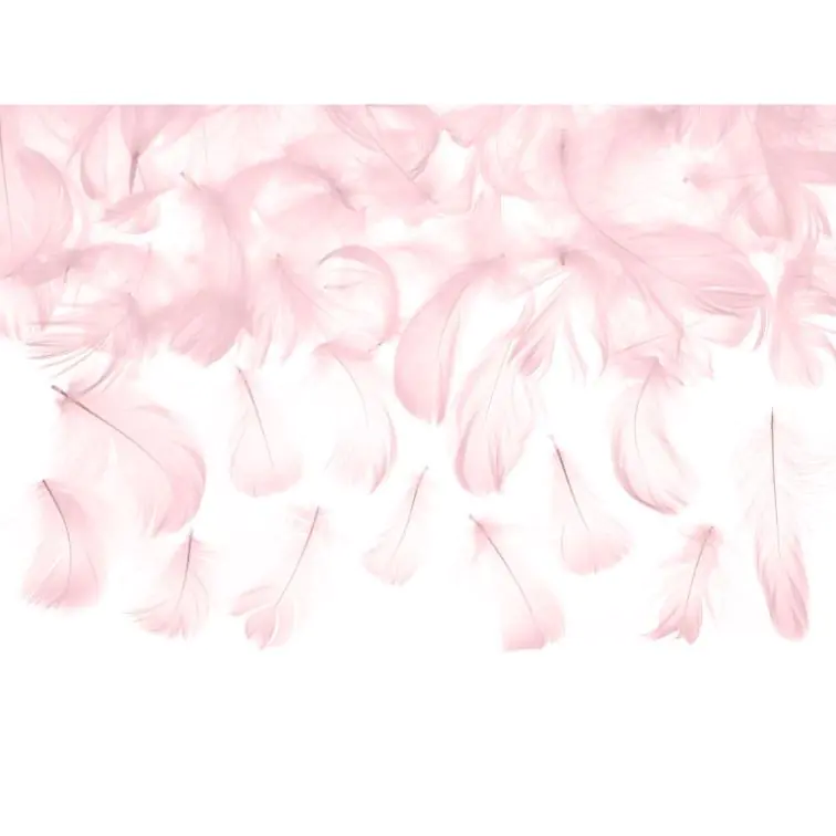 Decorative feathers, PD1-081J