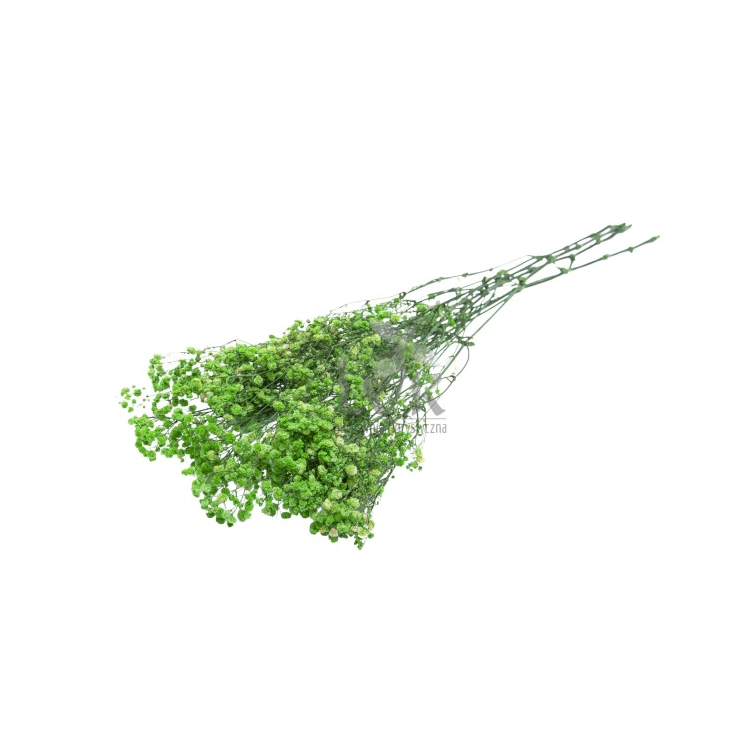 Mākslīgs zieds - Gypsophila, H2404027-13