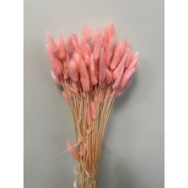 Декоративный лагурус, 100gr, lag100rosa main product photo