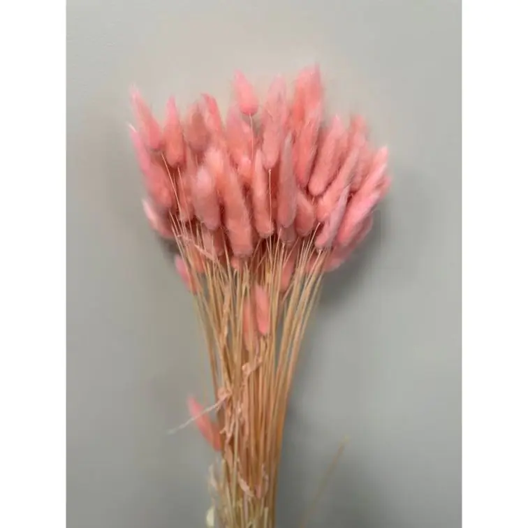 Декоративный лагурус, 100gr, lag100rosa