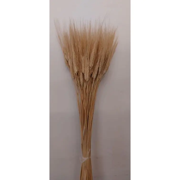 Mākslīgie graudaugi, 200gr, gbb200