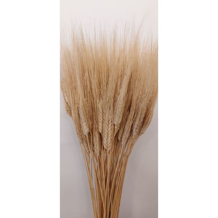 Mākslīgie graudaugi, 200gr, gbb200