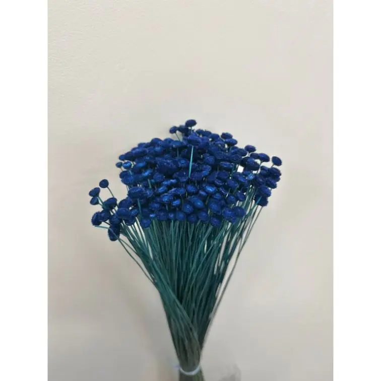 Сухоцветы - Amarellino, 100gr, AMA100BLU
