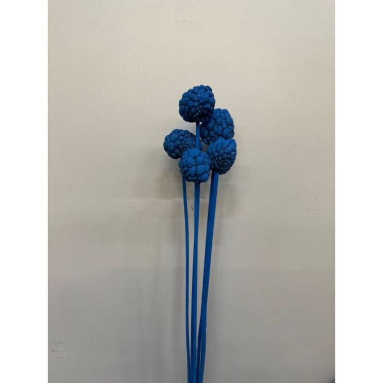 Сушёный Ata fruit, ATAFOS5BS main product photo