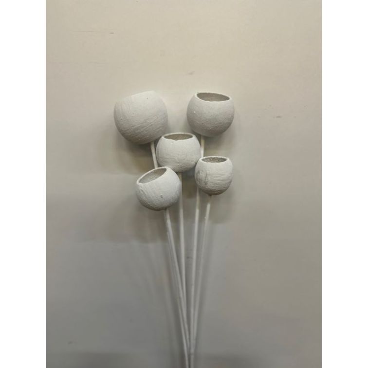 Сухоцветы - Bell cup, BCOS5BS main product photo