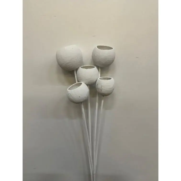 Сухоцветы - Bell cup, BCOS5BS