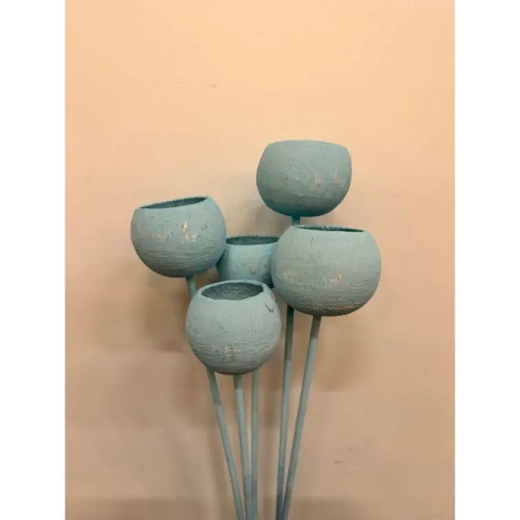 Dried flowers - Bell cup, BCOS5CS