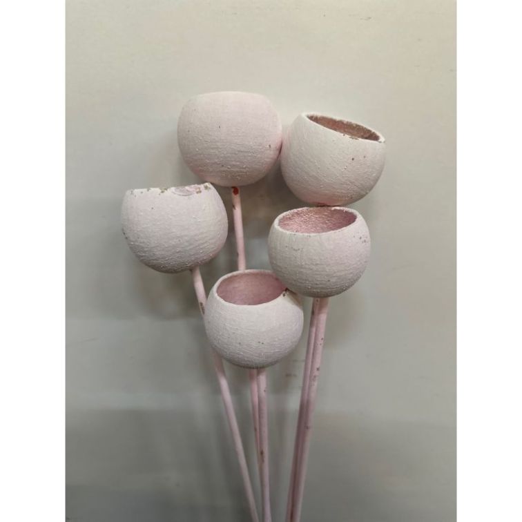 Dried flowers - Bell cup, BCOS5ROSAS