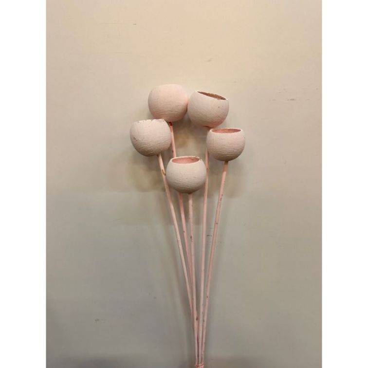 Сухоцветы - Bell cup, BCOS5ROSAS main product photo
