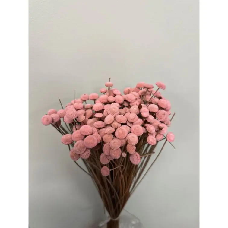 Сухоцветы - Botao, 100gr, BOT100ROSA