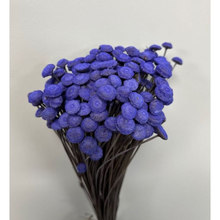 Сухоцветы - Botao, 100gr, BOT100LILLA main product photo