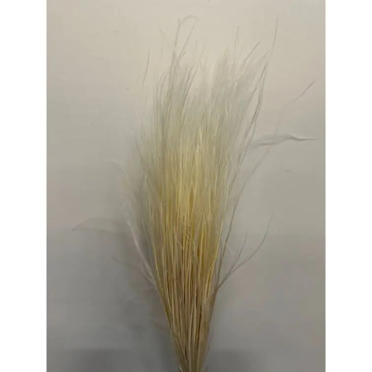 Сухоцветы - Stipa Pennata, 50gr, STI50BIA