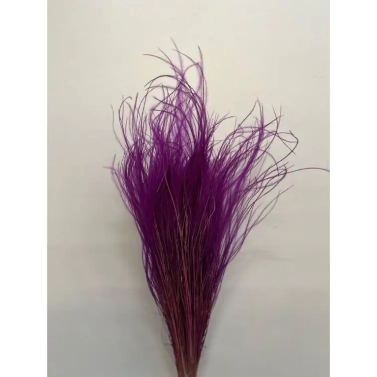 Сухоцветы - Stipa Pennata, STI50ERIKA