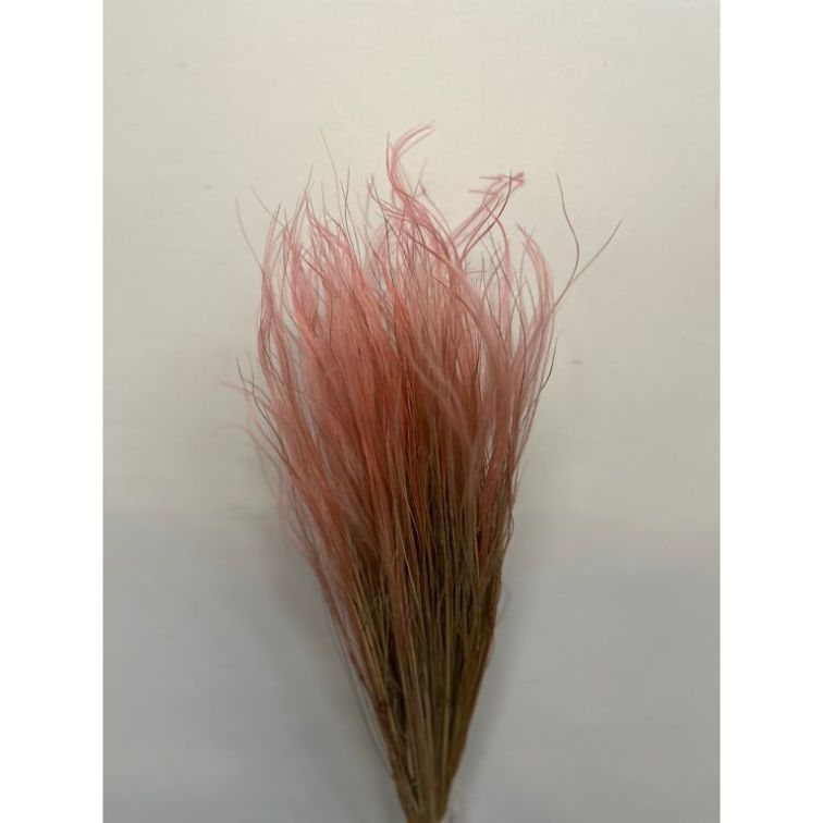 Сухоцветы - Stipa Pennata, 50gr, STI50ROSA main product photo