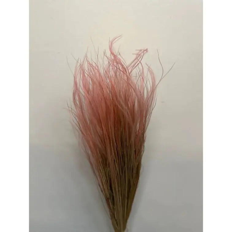 Сухоцветы - Stipa Pennata, 50gr, STI50ROSA
