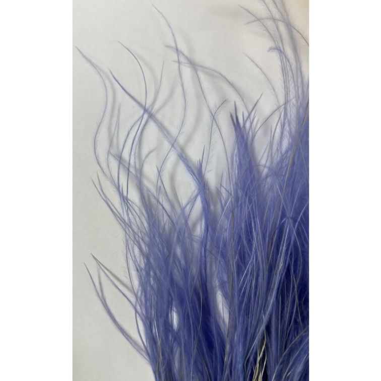 Dried flowers - Stipa Pennata, 50gr, STI50LILLA