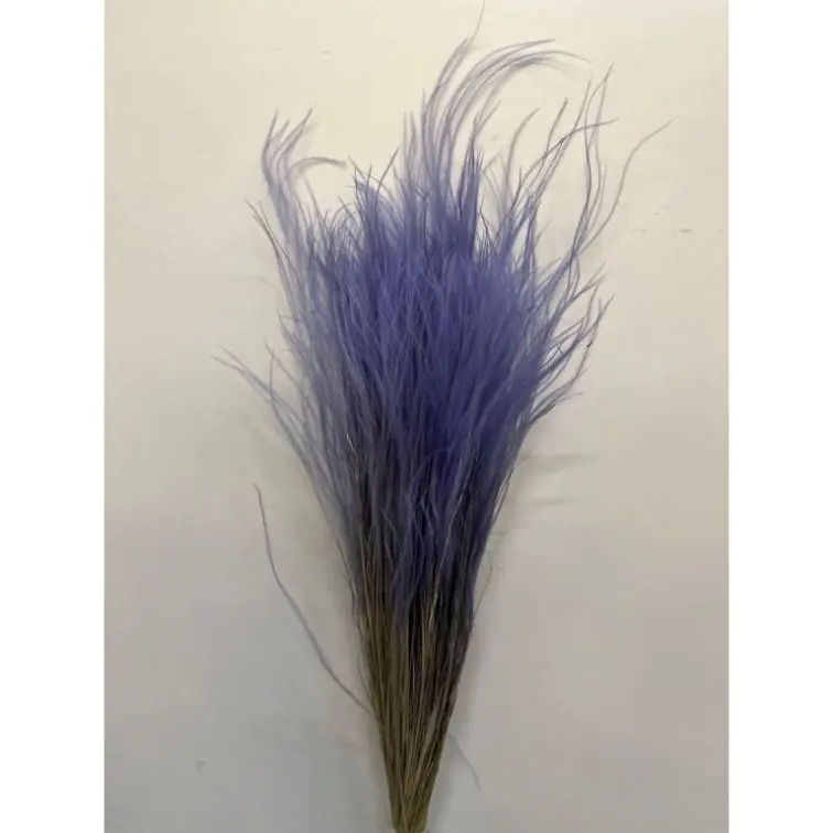Сухоцветы - Stipa Pennata, 50gr, STI50LILLA