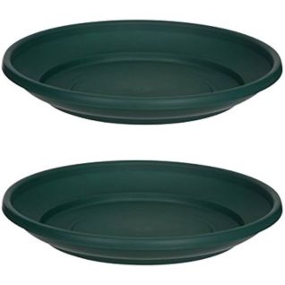 Saucer, W110660020