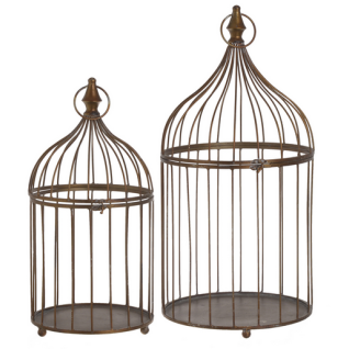 Bird cage , 267CAN1755