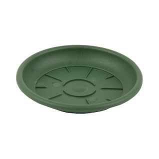 Saucer, 2431607