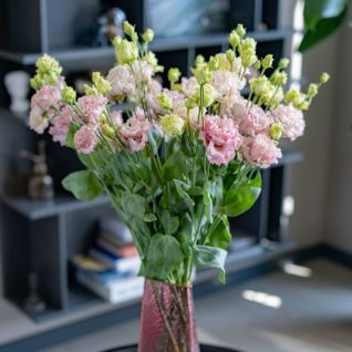 Lisianthus Peach (9PCS)