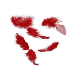 Decorative feathers, 26M003B-007