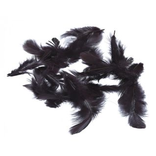 Decorative feathers, 26M003B-041