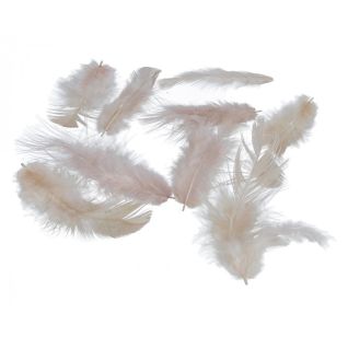 Decorative feathers, 26M003B-063